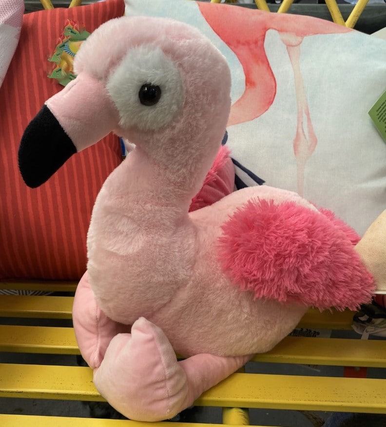 Franny the flamingo